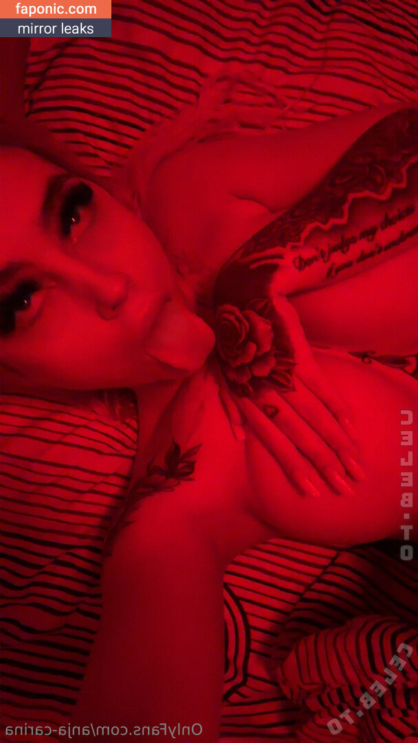 Anja Carina Haslinger, anja-carina, anja_carina_haslinger_awesome Naakte Lekken OnlyFans Foto #202