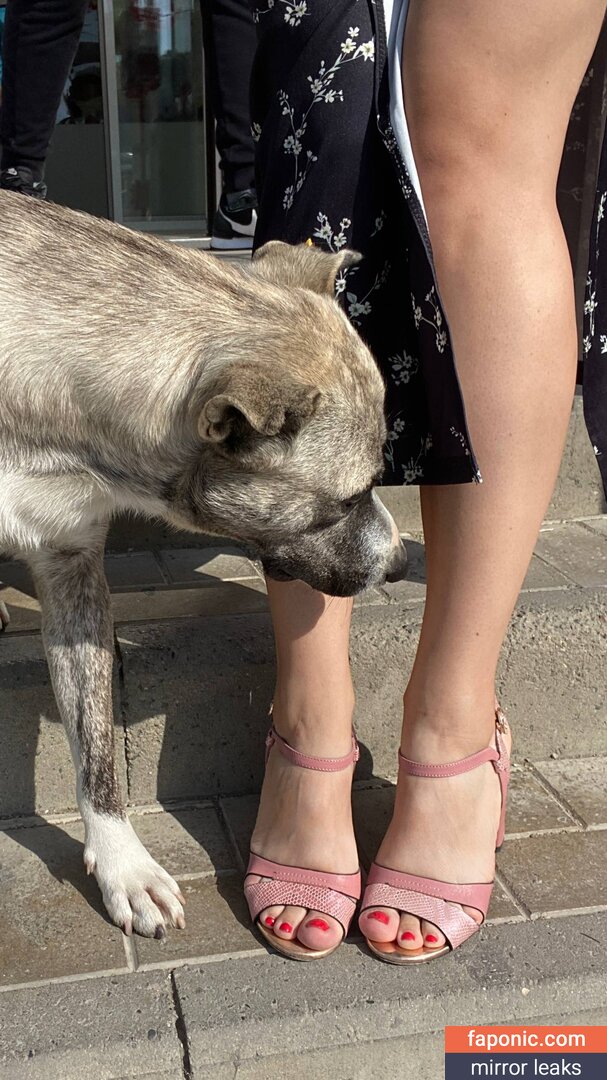 Ira Belka